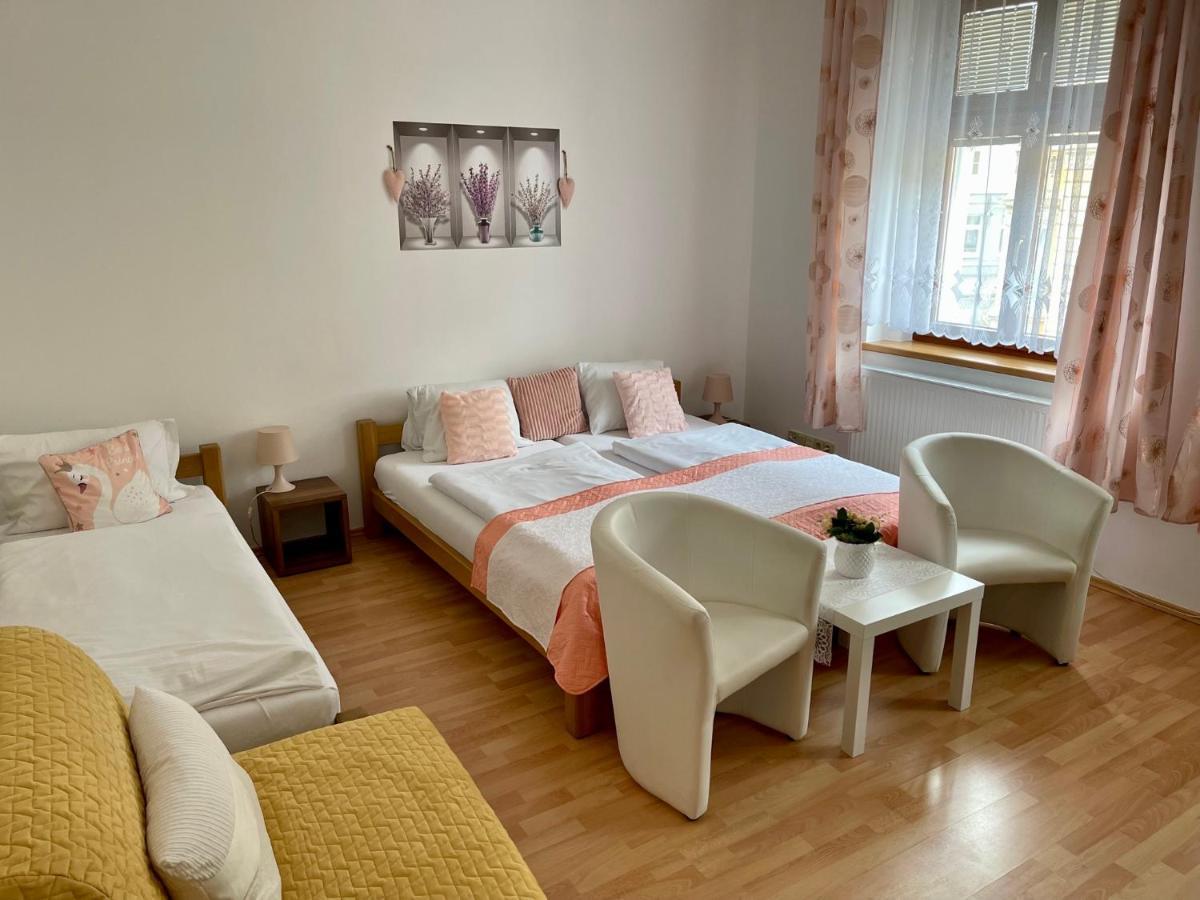 Penzion U Vlcku Cheb Bagian luar foto